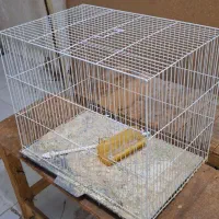 تخت نیمکت فرش وموکت|تخت و صندلی بچه|مشهد, ابوذر|دیوار