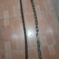 دو عدد زنجیر جوندار