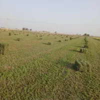 خریدا بیده پرس تراکتور