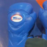 دست کش بوکس اتل دار