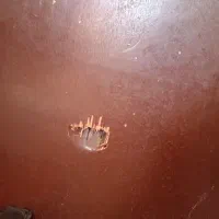 درب فیبر|مصالح و تجهیزات ساختمان|زرند, |دیوار