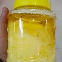 سنتی کره گاوی گوسفندی روغن زرد گوسفند خامه گاو