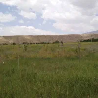 فروش زمین (باغچه)