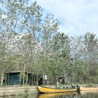 فروش کلبه چوبی در اولین شهر آبی|فروش خانه و ویلا|نیشابور, شهرک اندیشه|دیوار