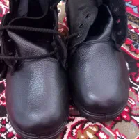 پوتین نونو ۵۰۰هزار