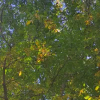 کارگر ساده هستم جویای کار