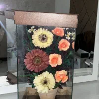 باکس گل خشک نو|گل مصنوعی|اصفهان, پرتمان|دیوار