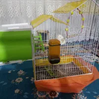 قفس پرنده