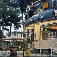 شریک و سرمایه گذار