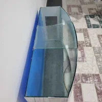 اکواریوم|ماهی|میانه, |دیوار