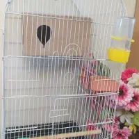 قفس سالم درحدنو و چهارپایه نو نو