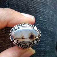 انگشتر شجر بی نظیر