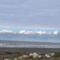 ویلا۱۸۰۰متر پلاک یک دریا بالاترین متراژ در خزرشهر