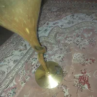 گل و گلدون|گل و گیاه طبیعی|کرج, برغان|دیوار