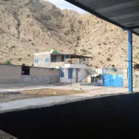اجاره گله دونی یک هکتاری پشت تلخاب شرین