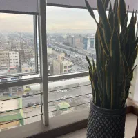 نیروی اداری خانم