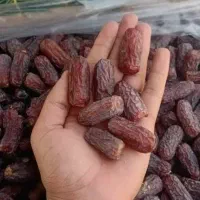 فروش انواع خرما و  فندق و زعفران و پسته|عمده‌فروشی|یاسوج, |دیوار