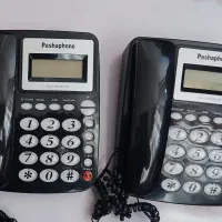 ۲ عدد تلفن pasha phone نو با ضمانت گارانتی و جعبه