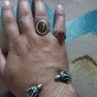 پالنگ یا دستبندنقره