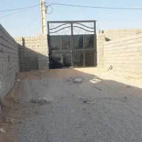 ۳۶۵۰ متر باغ برقدار منتظری|فروش زمین و ملک کلنگی|اهواز, مهرشهر|دیوار