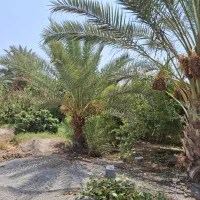 فروش باغ ویلا|فروش خانه و ویلا|رودان, |دیوار