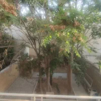 خانه حیاط دار دو طبقه مستقل نوسازی شده سیاحتگر|فروش خانه و ویلا|شیراز, آبیاری|دیوار