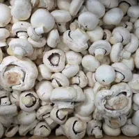 قارچ فله|خوردنی و آشامیدنی|ری, شهرک نظامی|دیوار