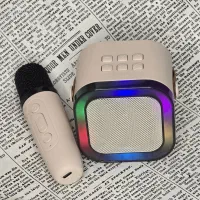 اسپیکر دو میکروفون