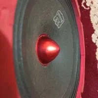 میدرنج ۶/۵ یک دونه
