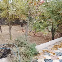 اجاره باغ ویلا در قلعه سنگی|اجارهٔ کوتاه‌مدت ویلا و باغ|خرم‌آباد, |دیوار