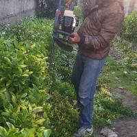 باغبانی و سمپاشی کل تهران و حومه با ضمانت و فاکتور