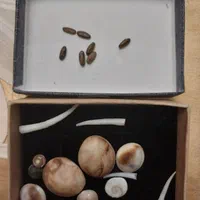 کتاب وسرکتاب وطالع|خدمات پذیرایی، مراسم|تهران, تجریش|دیوار