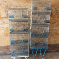 فروش قفس هشت خان و چهار خان اردشیر|لوازم جانبی حیوانات|شیراز, دارالرحمه|دیوار