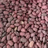 لوبیا قرمز