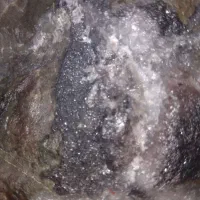 ژعود خیلی خاص ترکیب رنگهای خاص|کلکسیون اشیاء عتیقه|کرمان, |دیوار