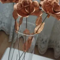 گل مسی