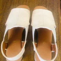 صندل|کیف، کفش، کمربند|رشت, معلم|دیوار