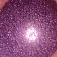 لوبیا قرمز کیلویی ۲۴۰۰۰۰