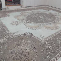 ۲ عدد قالی ۵۰۰ شانه