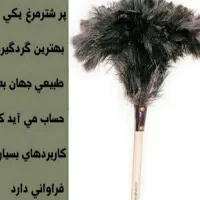 نظافت گردگیری جاروبالشت پشتی