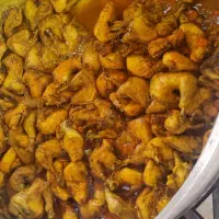 آشپزخانه وغذای آماده|خدمات پذیرایی، مراسم|زابل, |دیوار