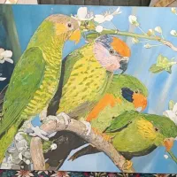 تابلوهای نقاشی رنگ روغن نو