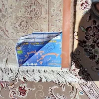 فرش ۹ متری|فرش|تربت‌حیدریه, پائین ولایت|دیوار