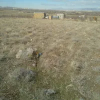 زمین خالی کشاورزی مخصوص باغ