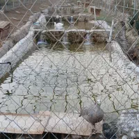 فروش زمین مسکونی