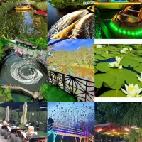 نه ارزونه نه گرونه.‌‌‌.‌.‌ارزشمنده