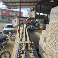 سورتینگ وزنی کیوی