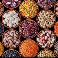 فروش خواربار