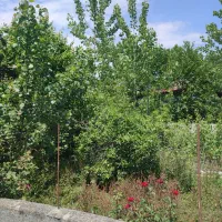 ۳۰۰ متر زمین باکاربری مسکونی در قلمباغ پره‌سر|فروش زمین و ملک کلنگی|پره‌سر, |دیوار