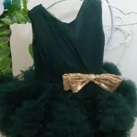 سایز مختلف|کیف، کفش، کمربند|یزد, |دیوار